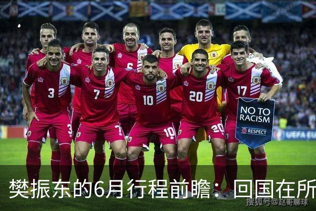 樊振东的6月行程前瞻：回国在所难免，他会与王励勤见面吗？